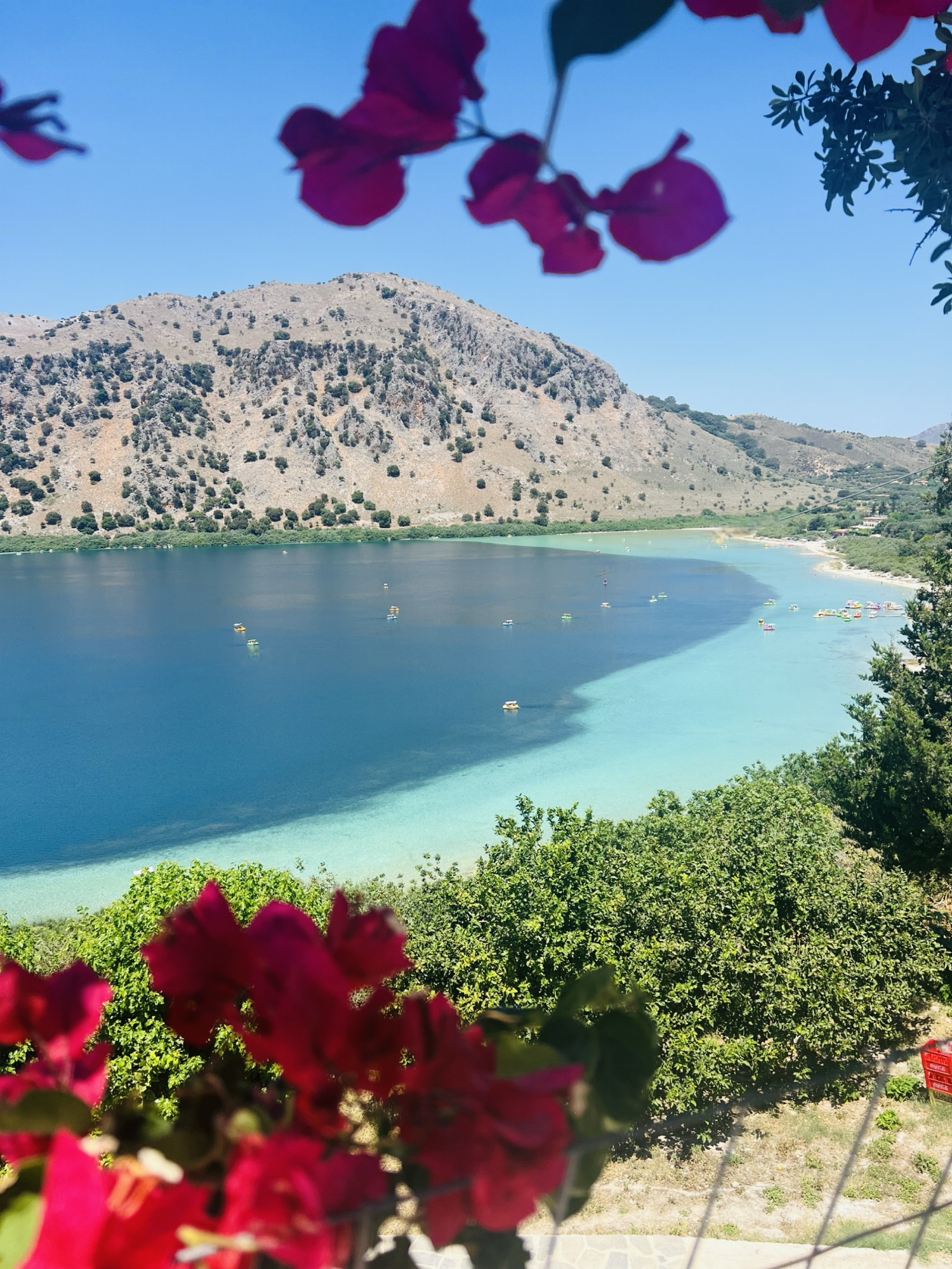 1718530084.619453-2-1